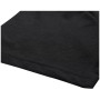 T-shirt homme Alpine Pro Bolen 2