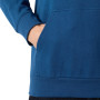 Sweat-shirt homme Helly Hansen HH Logo Hoodie