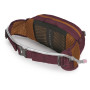 Sac banane Osprey Seral 4