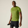 T-shirt homme Regatta Fingal Edition