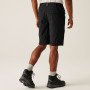 Shorts homme Regatta Highton Shorts Long II