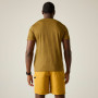 T-shirt homme Regatta Fingal Edition