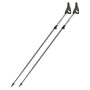 Bâtons de marche nordique Fizan NW Carbon Pro Impulse