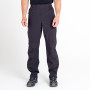 Pantalon homme Dare 2b Adriot II Overtrs