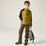 Veste enfant Regatta Junior Andreson Hybrid BlkWdBrown