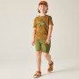 T-shirt enfant Dare 2b Trailbazer III Tee Dark Cumin