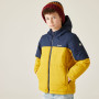 Veste enfant Regatta Lofthouse
