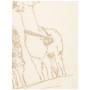 T-shirt femme Chillaz Iseo Alpaca Gang