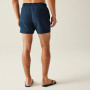Maillot de bain homme Regatta Mawson Swim Shorts III