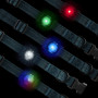 Lumière pour chien Nite Ize NiteDog™ Rechargeable Pet Light