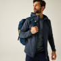 Veste homme Regatta Everet