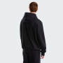 Sweat-shirt homme The North Face M Evolution Simple Dome Regular Hoodie