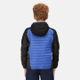 Veste enfant Regatta Kielder Hybrid V 2021