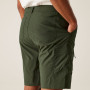 Shorts homme Regatta Dalry Short