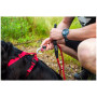 Laisse pour chien Mountain Paws Rope Dog Lead