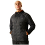 Veste homme Dare 2b Torrek Flex It Hybrid