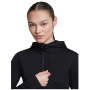 Veste polaire fonctionnelle femme Icebreaker Women Merino Blend 200 RealFleece™ Descender LS Zip Hoodie