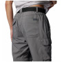Pantalon homme Columbia Silver Ridge™ Utility Convertible Pant