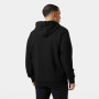 Sweat-shirt homme Helly Hansen HH Box Hoodie 2025
