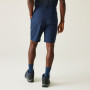 Shorts homme Regatta Dalry Short