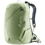 Couleur: vert clair