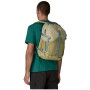 Sac à dos Patagonia Refugio Day Pack 30L