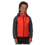 Veste enfant Regatta Kielder Hybrid V