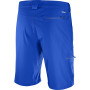 Short homme Salomon Wayfarer LT Short M
