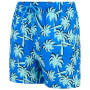 Maillot bain enfant Regatta Skander SBluIGrPalm