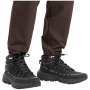 Chaussures homme Jack Wolfskin Wild Hike Texapore Mid M