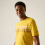 T-shirt homme Regatta Rendro