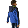 Veste softshell enfant Regatta Haydenbury Navy/Olympian Blue