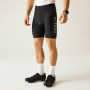 Cuissard de vélo homme Dare 2b Ecliptic III Short