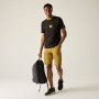 Shorts homme Regatta Ruwan Shorts