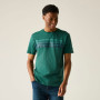 T-shirt homme Regatta Rendro