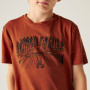 T-shirt enfant Dare 2b Trailbazer III Tee Arabian Spice