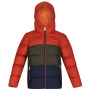 Veste enfant Regatta Lofthouse V rouge / gris Redochrr/Dkkh