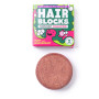 Shampoing Shower Blocks Solid Shampoo - Mint & Grapefruit rouge