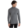 Sweatshirt fonctionnel homme Icebreaker M 260 Tech LS Half Zip