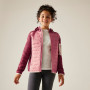 Veste enfant Regatta Junior Newhill Hybrid