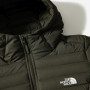 Doudoune femme The North Face W Stretch Down Parka