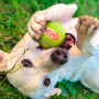 Jouet pour chien Nerf Dog Squeak Tennis Ball 3 pcs