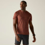 T-shirt homme Regatta Fingal Edition