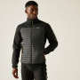 Veste homme Regatta Ceden Hybrid