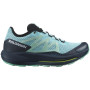 Chaussures de running femme Salomon Pulsar Trail