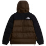 Doudoune homme The North Face M Hmlyn Down Parka