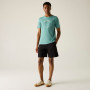 T-shirt homme Regatta Cline IX