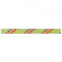 Corde d'escalade Beal Booster III 9,7 mm (60 m)