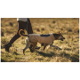 Vêtement pour chien Ruffwear Timberline Fuse™ Fleece Vest