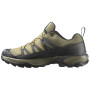Chaussures homme Salomon X Ultra 360 Gore-Tex